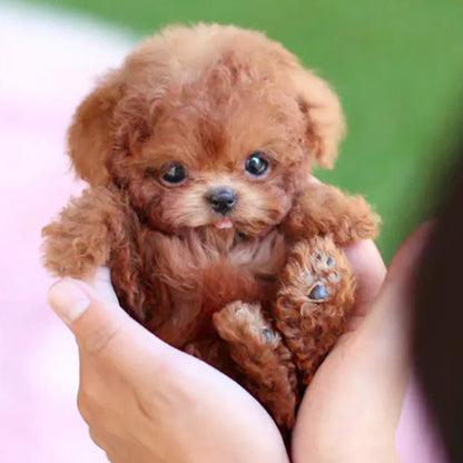 BowLift | Interactive Plush Dog with Realistic Movements – For Children &amp; Seniors
