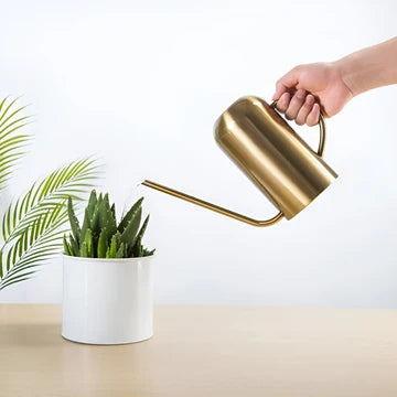 Stainless Steel Pourer - 1.5L Long Watering Can for Plants and Flowers