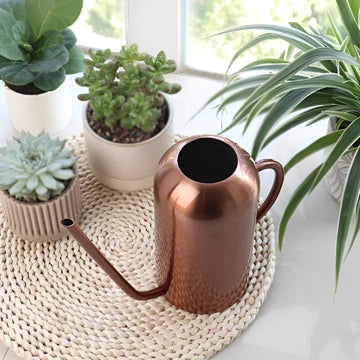 Stainless Steel Pourer - 1.5L Long Watering Can for Plants and Flowers