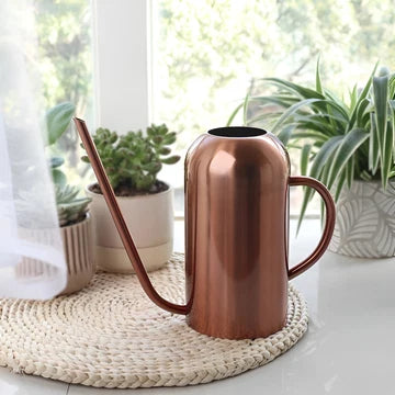 Stainless Steel Pourer - 1.5L Long Watering Can for Plants and Flowers