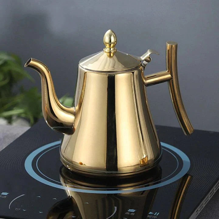 Best Induction Kettle with Filter | Sustainable Stainless Steel Kettle for Quick Boiling