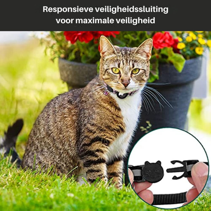 Cat GPS Tracker Collar with Reflective Design